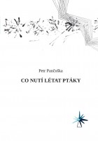 Co nutí létat ptáky, Petr Pančoška